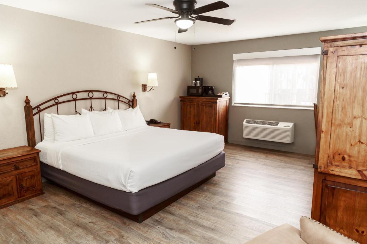 Chambre Lit King-Size - Accessible aux Personnes à Mobilité Réduite